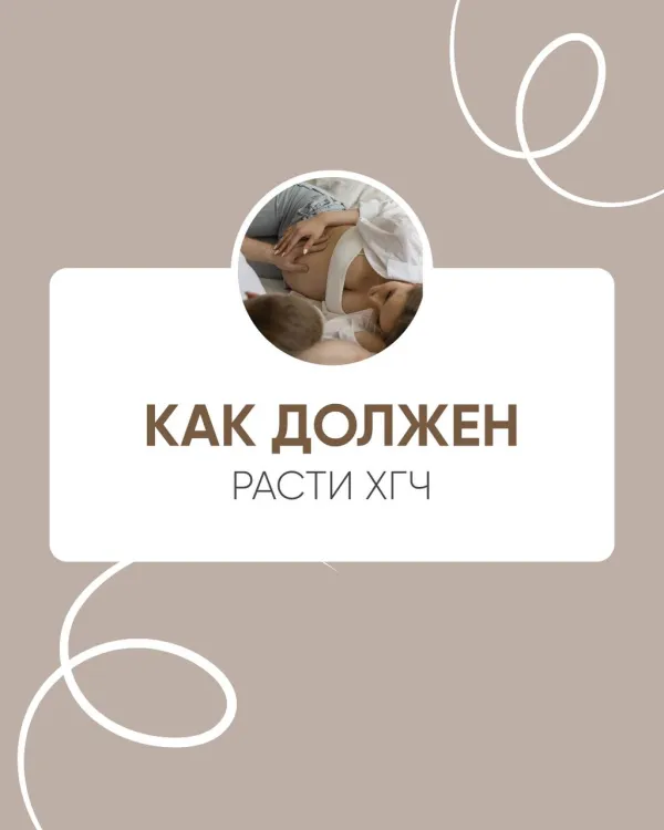 Как должен расти ХГЧ: нормы и возможные отклонения